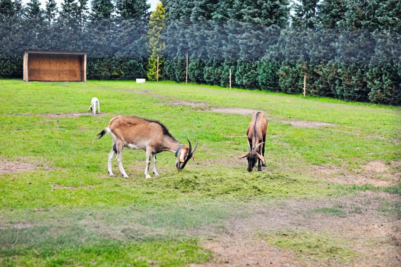Farma Serock Exteriér fotografie